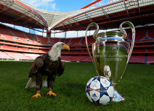 纸面实力 纸面实力