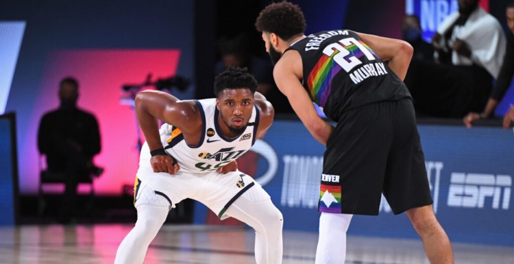 提供了新的 提供了新的