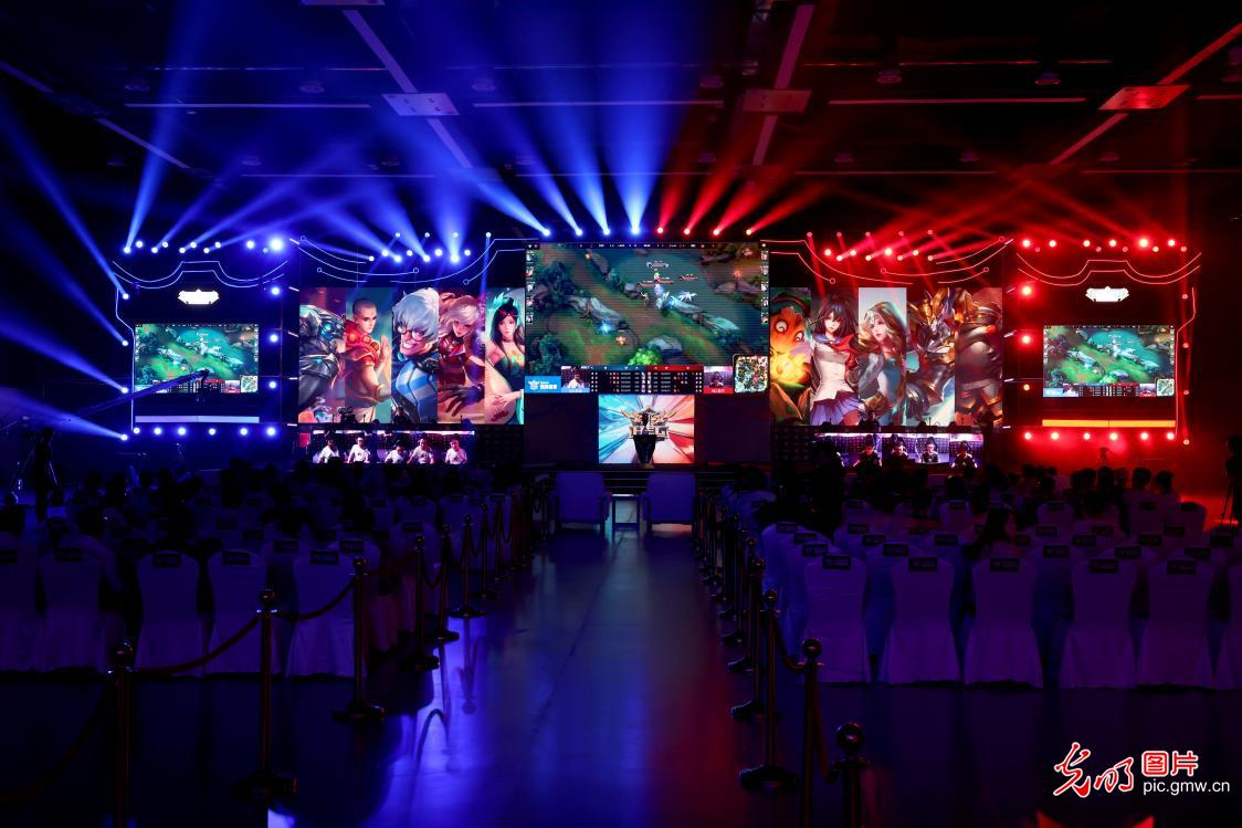 少年成长公 少年成长公