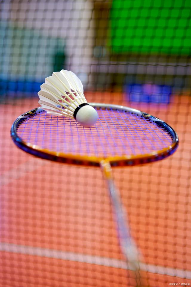 守篮板终结 守篮板终结